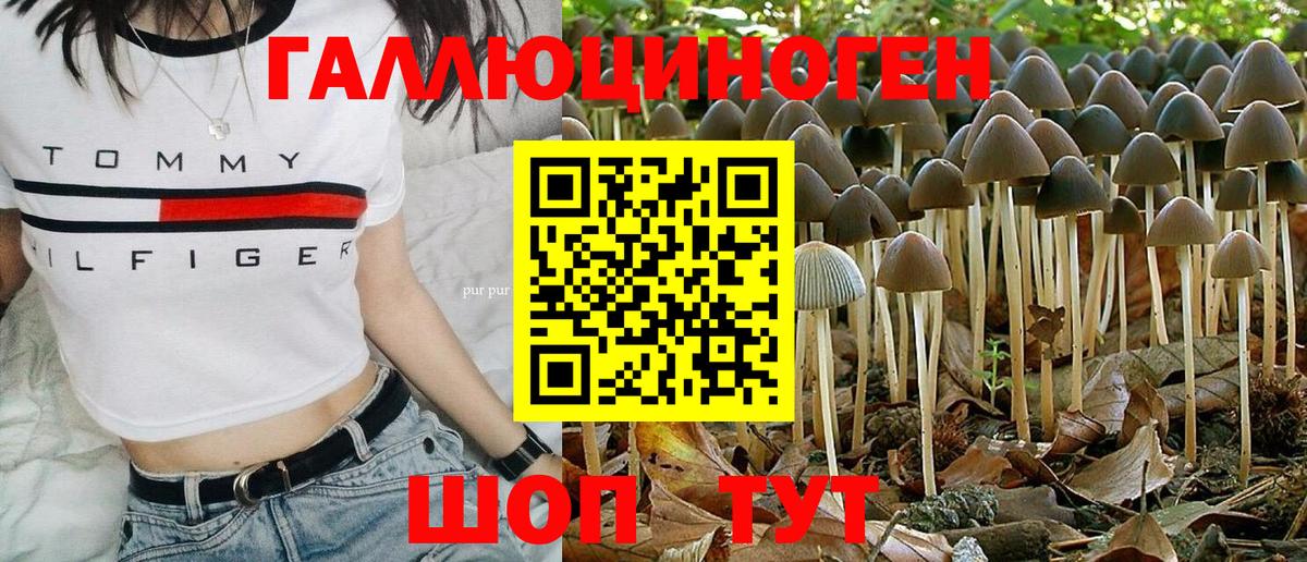 Миасс  Псилоцибиновые грибы GOLDEN TEACHER  Вход с VPN  Псилоцибиновые грибы Magic Shrooms 